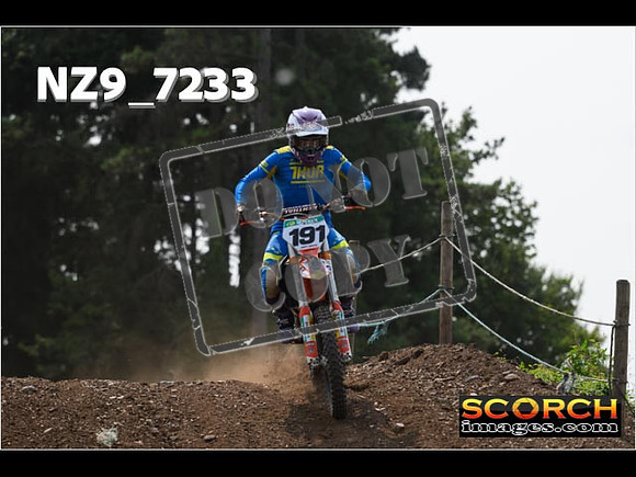 Inters Green-228