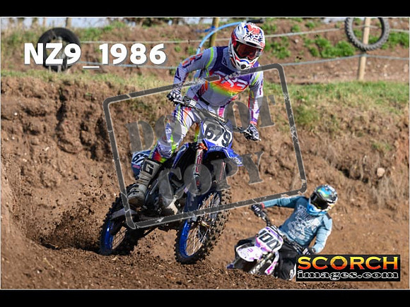 Experts-098