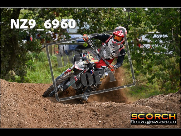 Experts-358
