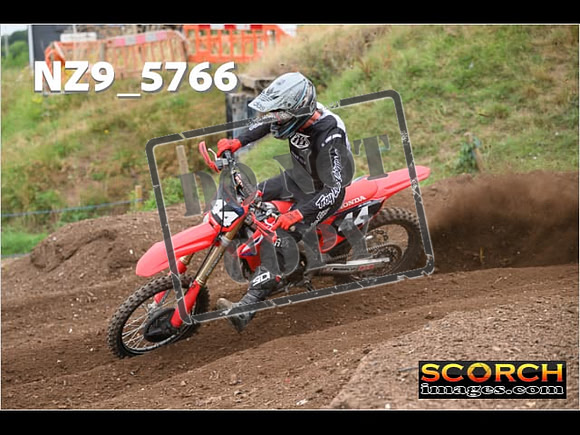 Experts-236