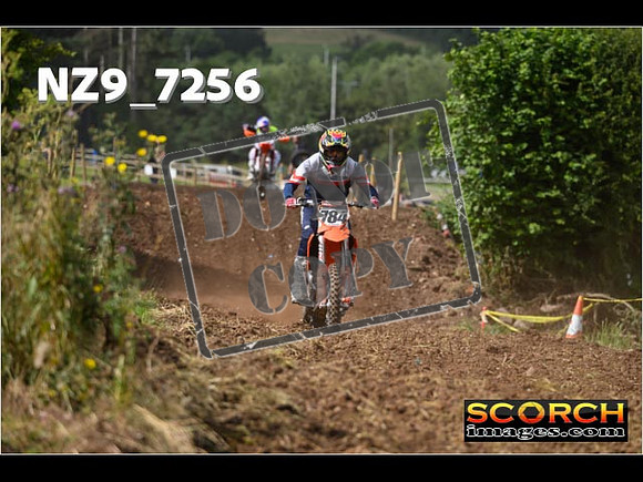 Experts-106