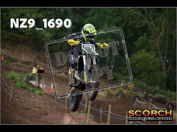IntersGreenOrange-096