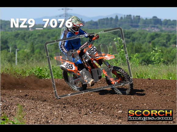 Experts-061