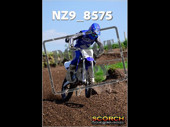 IntersGreenOrange-241