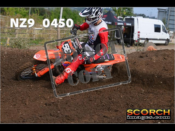 Experts-046