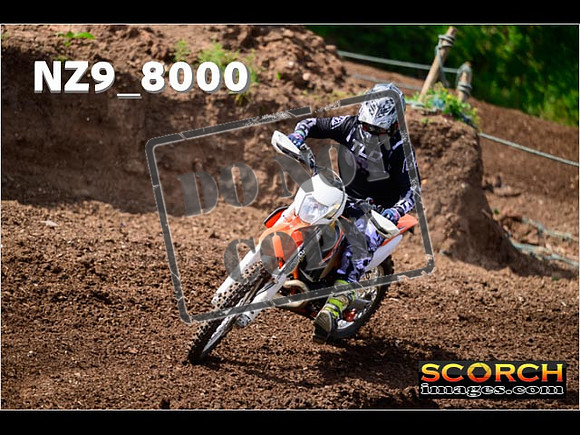 IntersGreenOrange-200