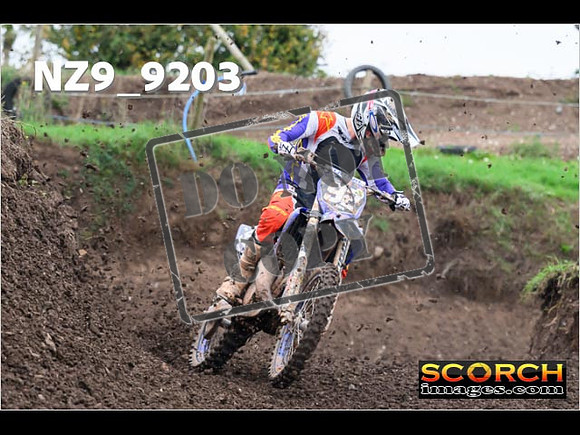 Experts-012