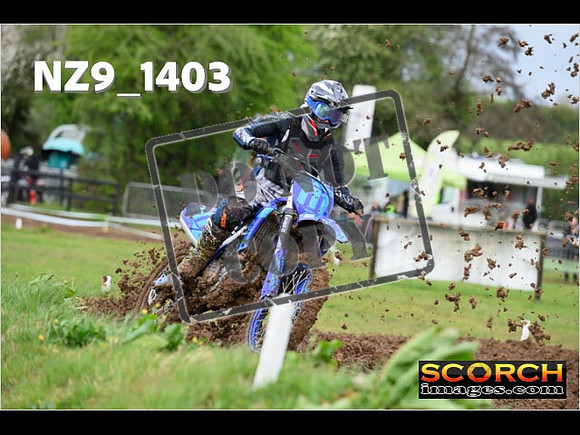 Experts-027