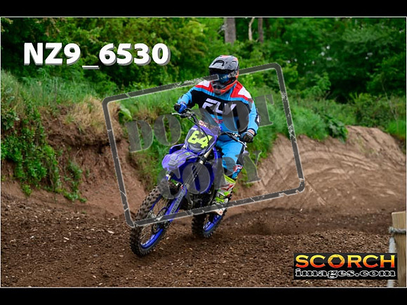 InterGreen-040