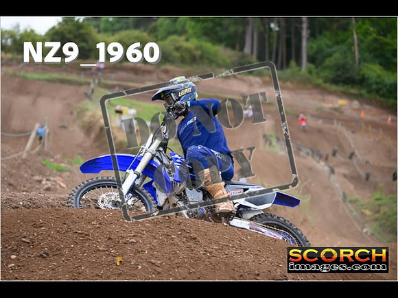 IntersBlue-399