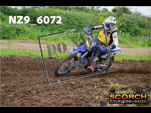 Experts-179
