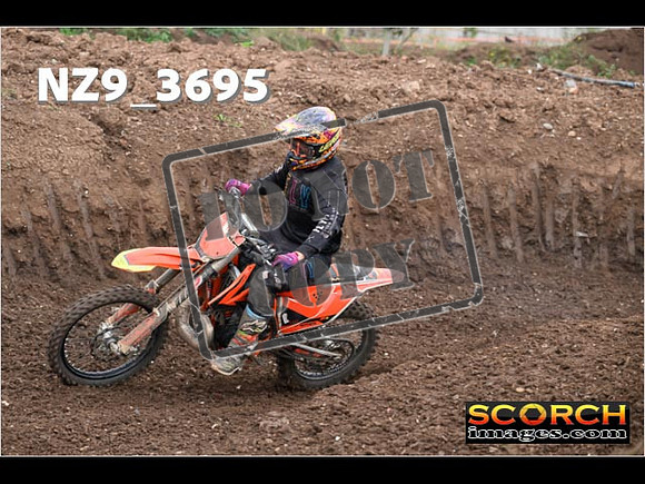 IntersGreenOrange-060