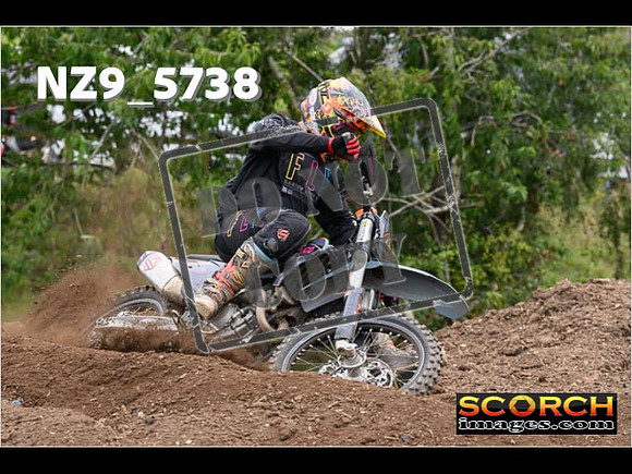 Experts-208