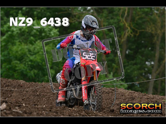 Experts-250