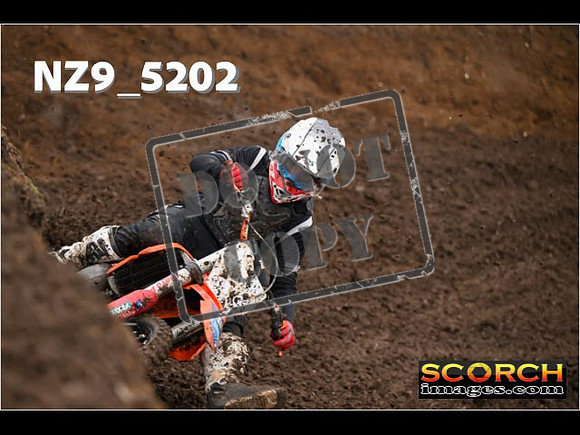 Experts-066