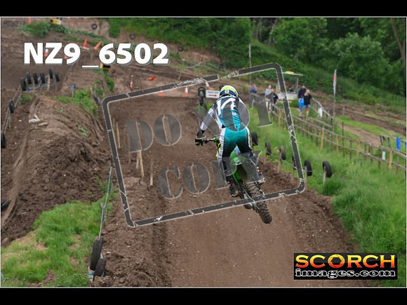 Experts-310