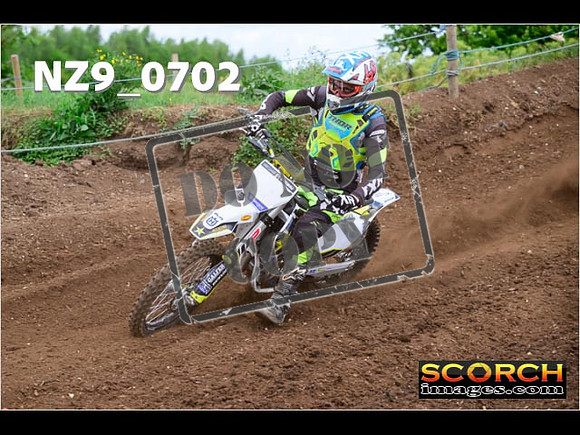 Experts-031