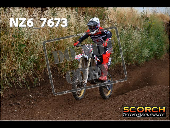 Experts-154