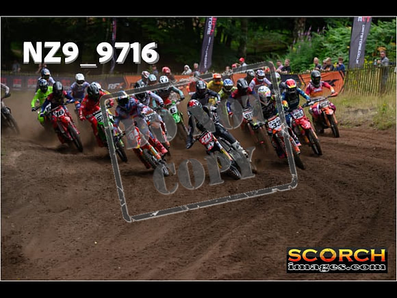 MX1-271