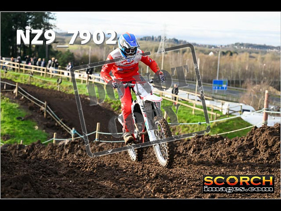 Experts-116