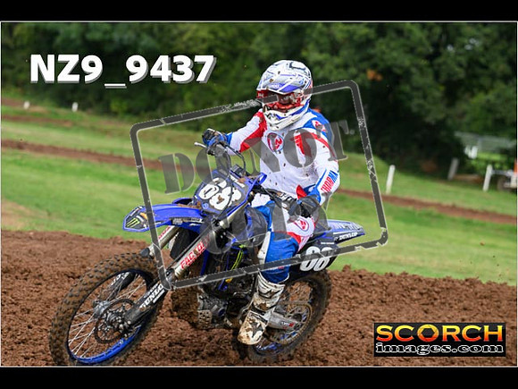 Experts-099