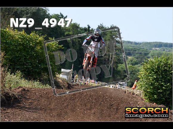Experts-030