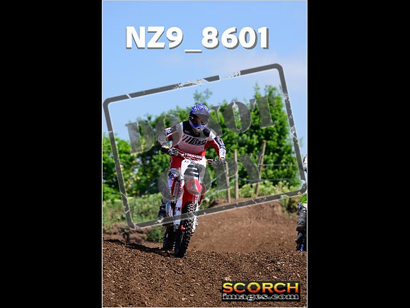 IntersGreenOrange-267