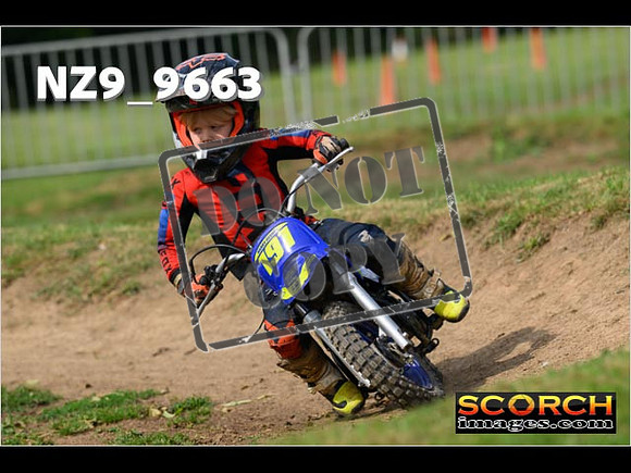 PeeWee Track-29