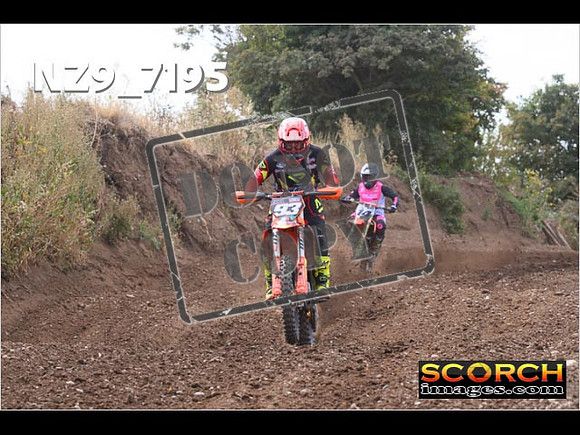 Experts-098