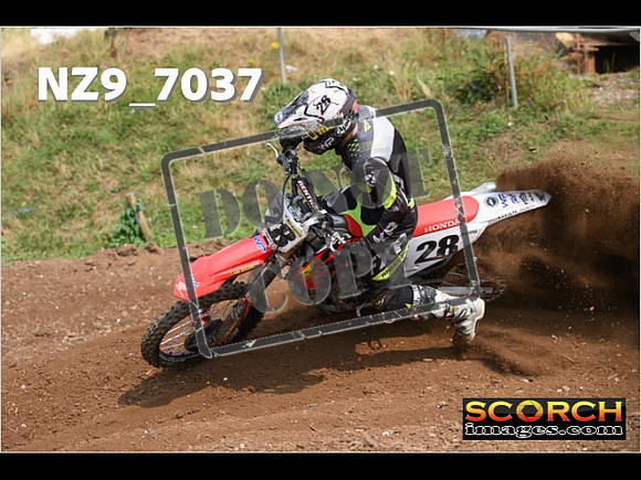 Experts-433