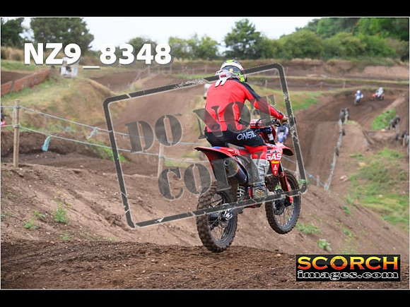 Experts-041
