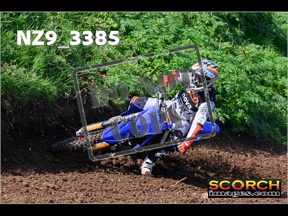 Experts-080