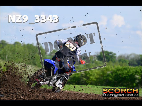 Experts-041