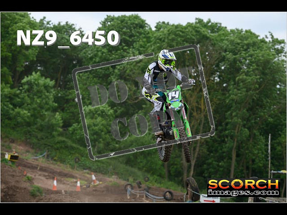 Experts-262