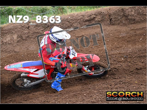 Experts-056