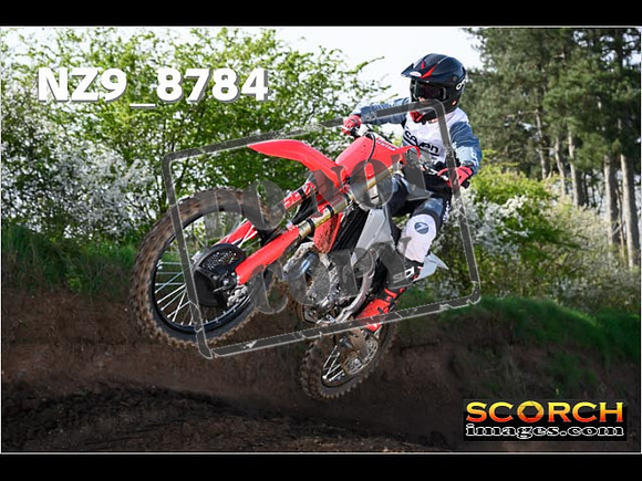 Experts-029