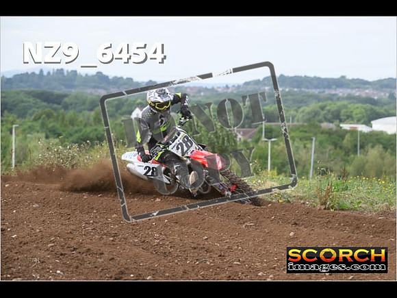 Experts-168