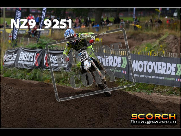 MX1-203