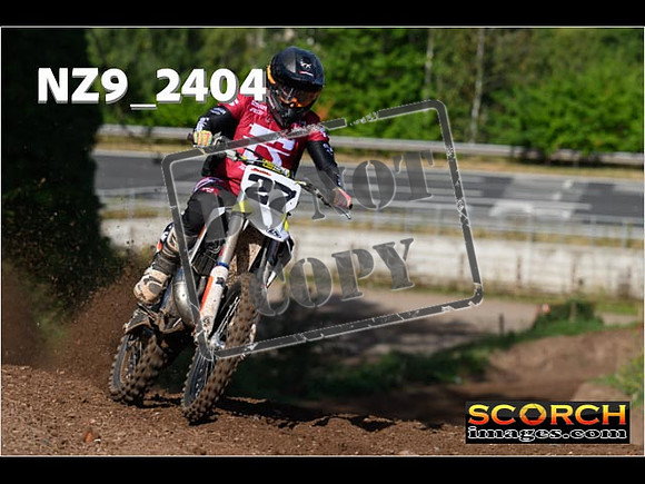Experts-061