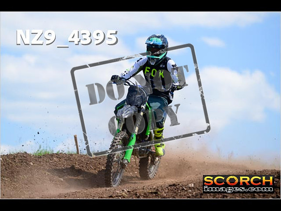 InterGreen-294