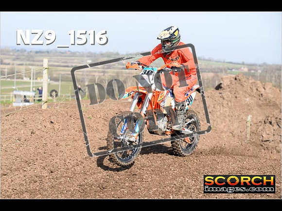 Experts-060