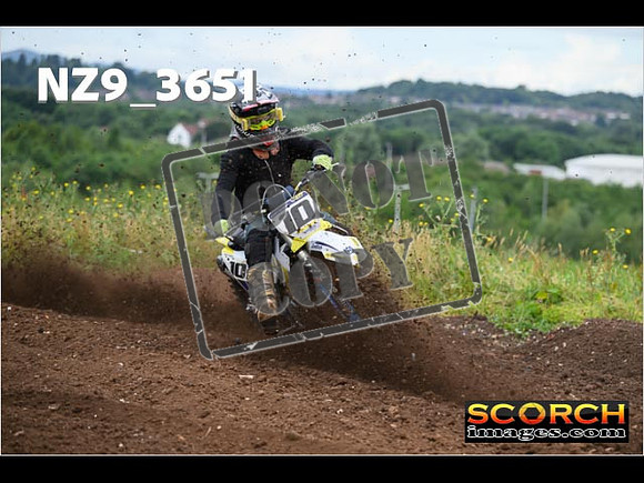 Experts-059