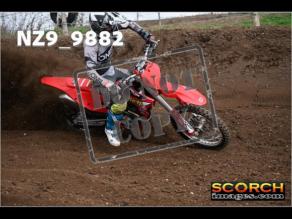 Experts-102