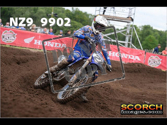 MX1-441