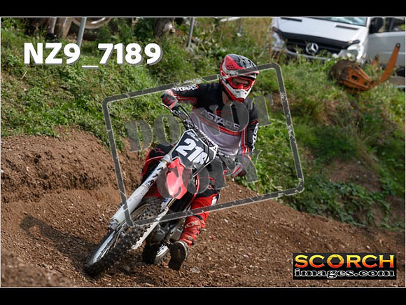 Inters Green-184