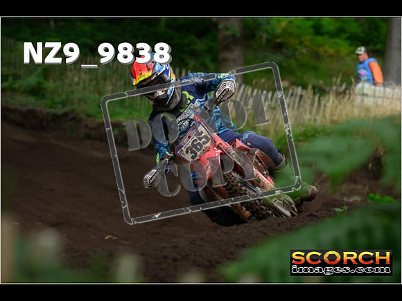 MX1-379