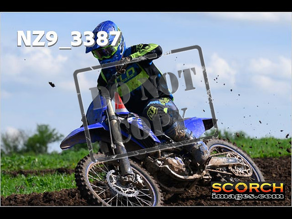 Experts-081