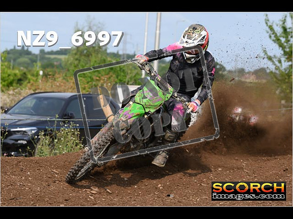Experts-394