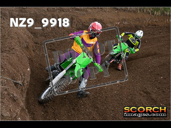 Experts-134