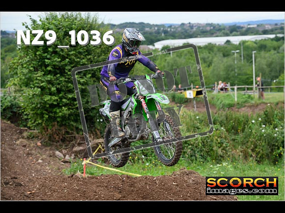 IntersGreen-051